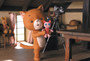 Photo 3 pour LE PETIT CHAT CURIEUX - KOMANEKO